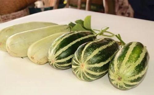 吃瓜网红音乐叫什么,揭秘“吃瓜网红”背后的热门音乐