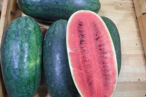 黑瓜吃料网入口怎么没了,探寻入口消失之谜