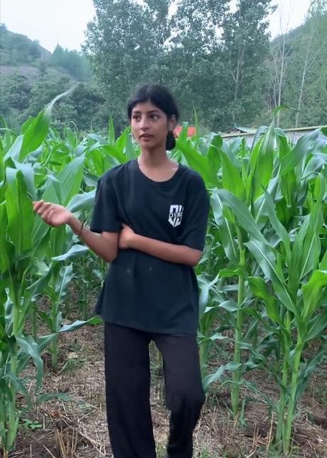 河南女农民网红吃瓜,田间地头的生活趣味