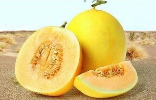 166  su吃瓜网,揭秘娱乐圈最新热点事件