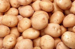 土豆bug网红吃瓜