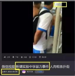 吃瓜网暴事件视频完整版,完整版视频揭露惊人真相