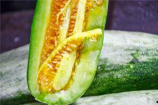 吃小网红瓜,那些你不知道的小秘密