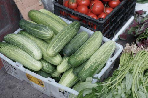 299吃瓜网怎么打不开