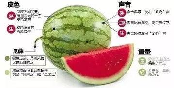 网红吃瓜免费入口微信,微信带你畅享娱乐盛宴