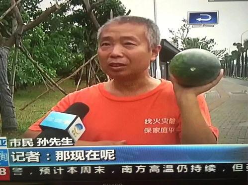 网曝吃瓜热门事件有哪些,揭秘网络热议背后的真相