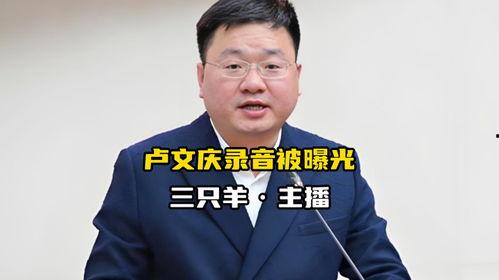 吃瓜网卢文庆录音视频