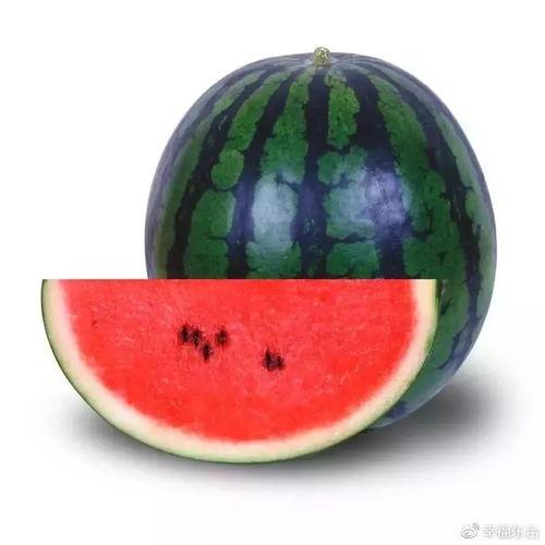 吃瓜网变成,网络舆论场中的“瓜田”盛景